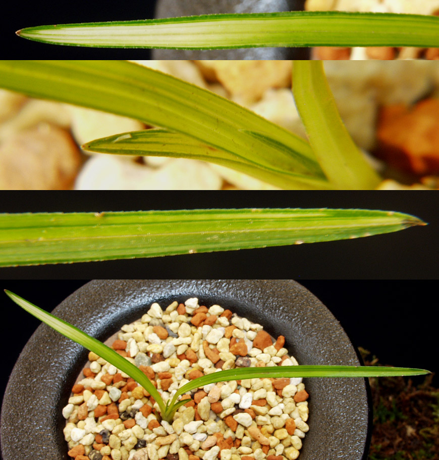 ������ ū������ �� �� �ֽ��ϴ�.