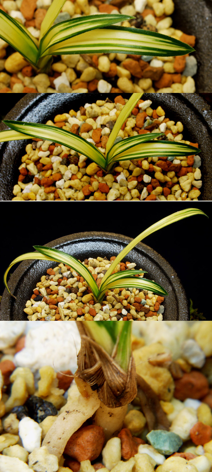 ������ ū������ �� �� �ֽ��ϴ�.