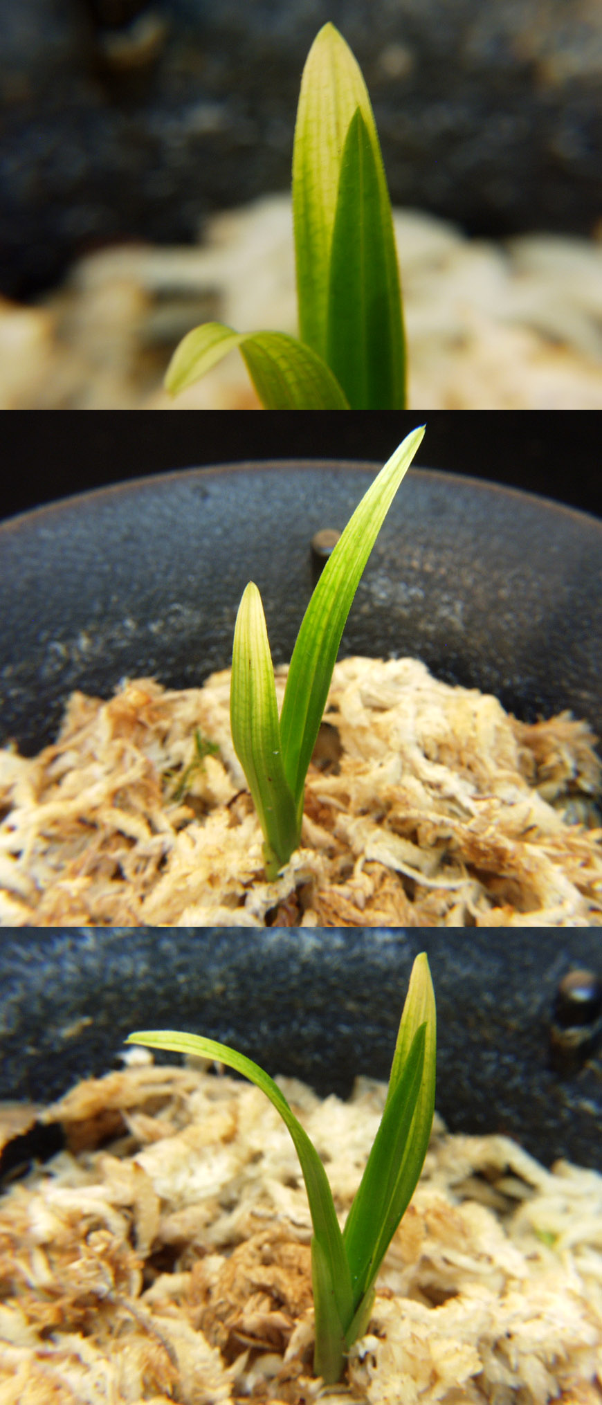 ������ ū������ �� �� �ֽ��ϴ�.