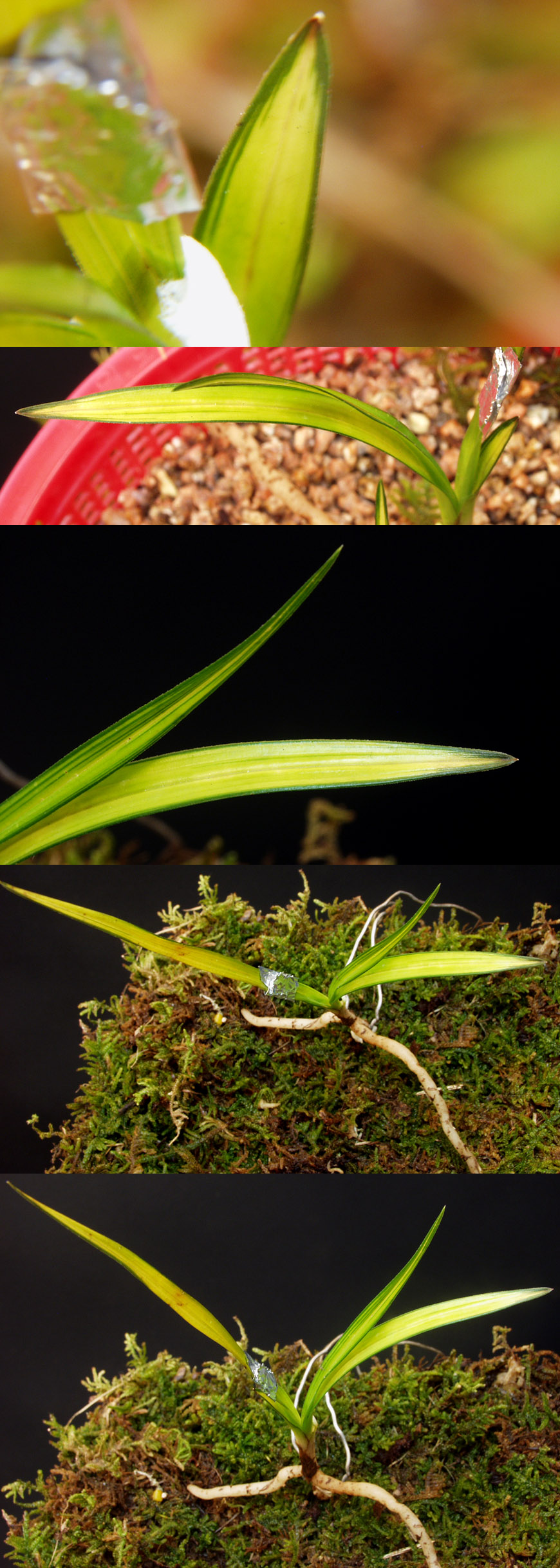 ������ ū������ �� �� �ֽ��ϴ�.