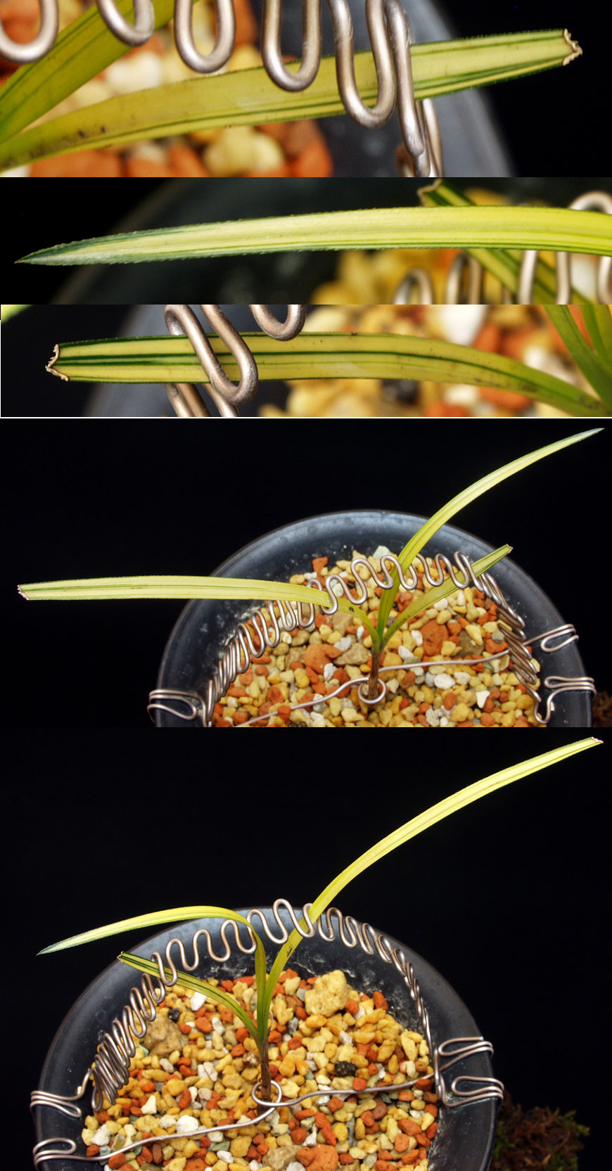 ������ ū������ �� �� �ֽ��ϴ�.