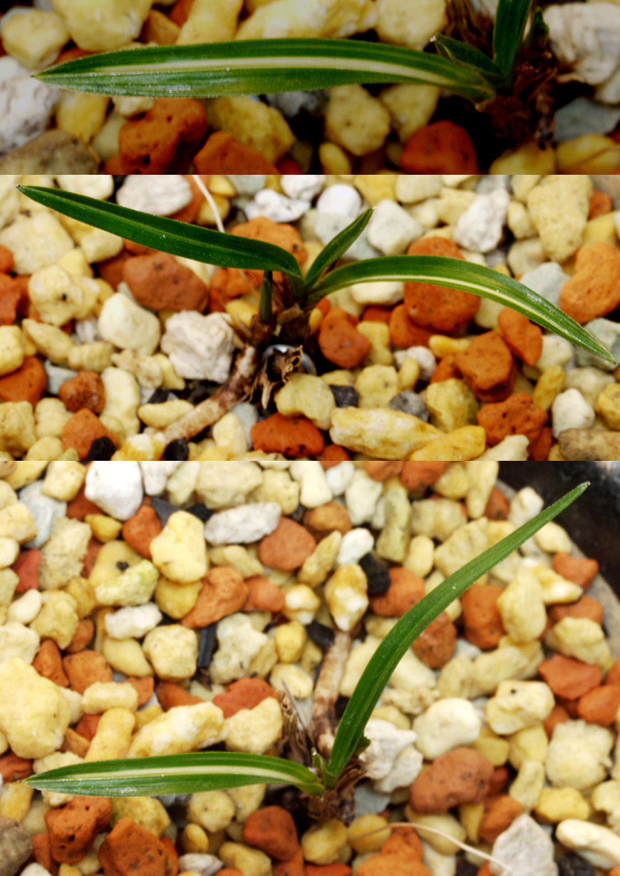 ������ ū������ �� �� �ֽ��ϴ�.