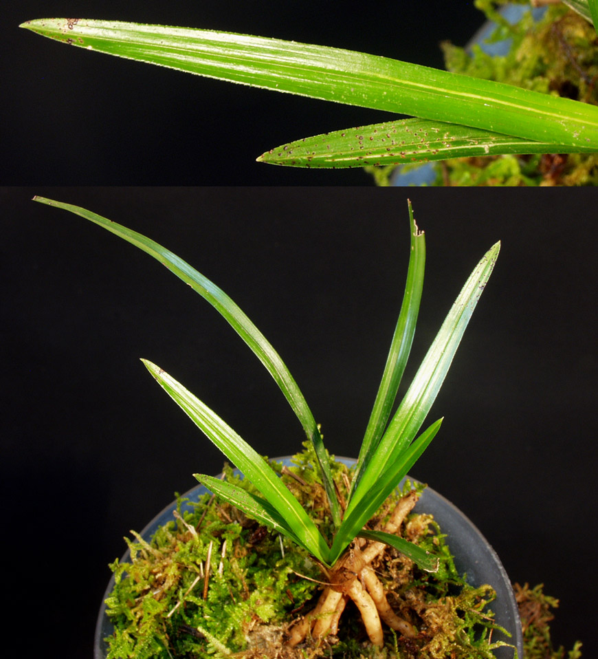 ������ ū������ �� �� �ֽ��ϴ�.