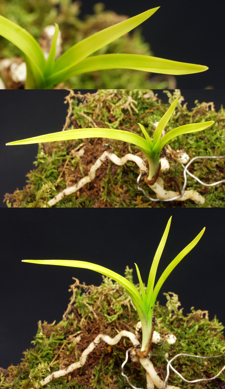 ������ ū������ �� �� �ֽ��ϴ�.