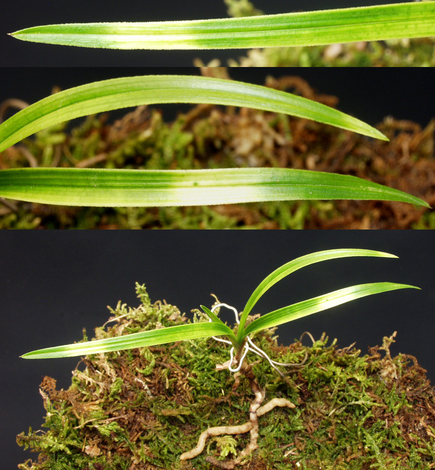 ������ ū������ �� �� �ֽ��ϴ�.