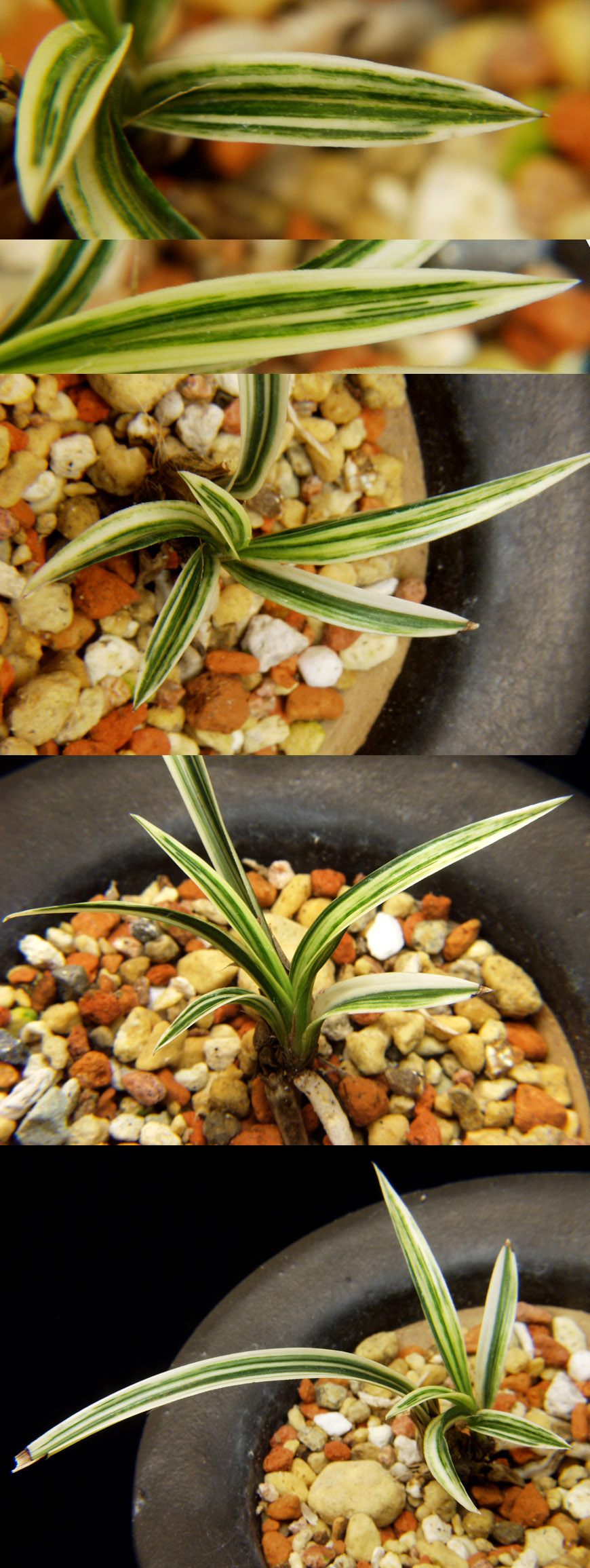 ������ ū������ �� �� �ֽ��ϴ�.