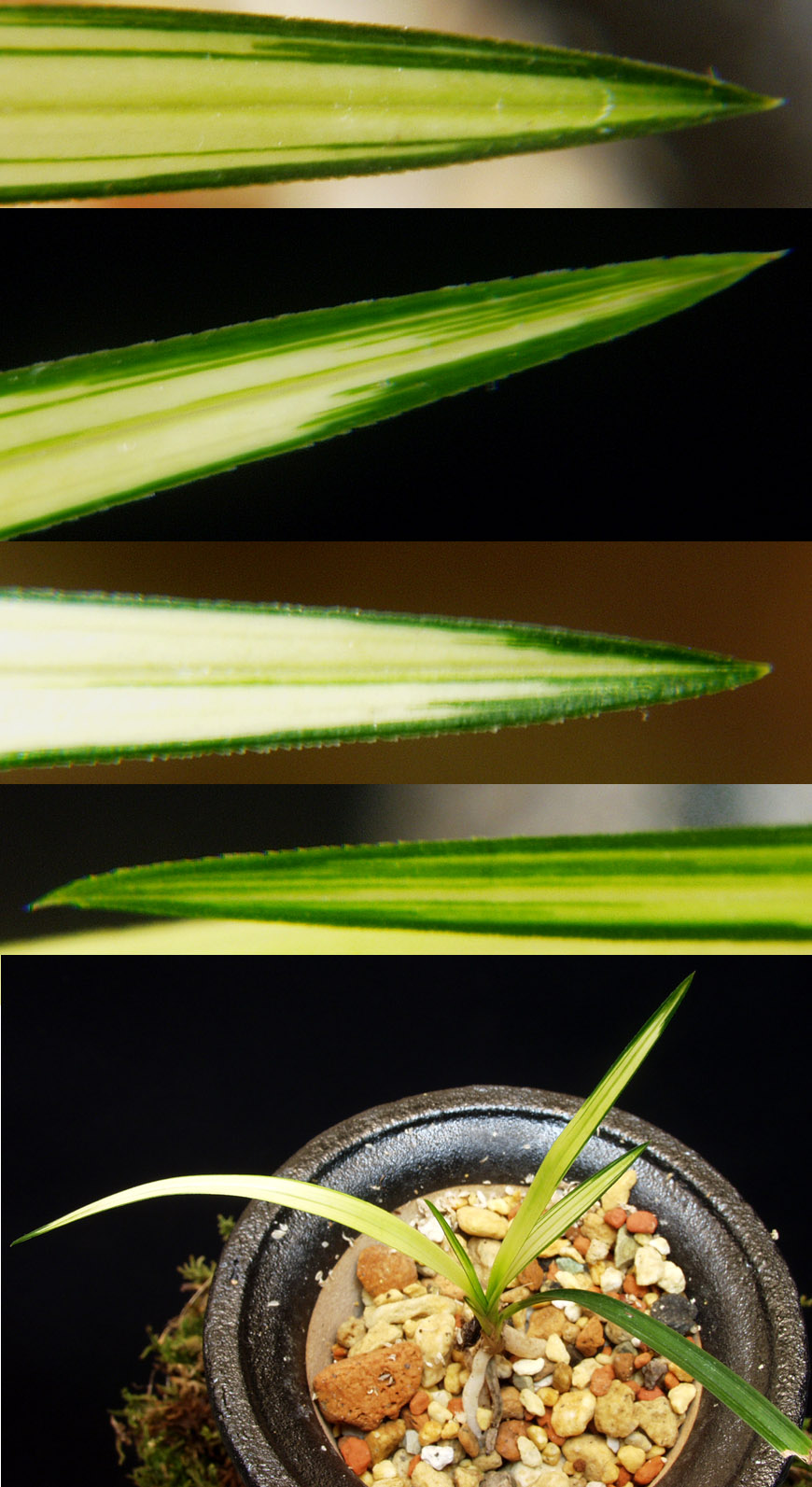 ������ ū������ �� �� �ֽ��ϴ�.