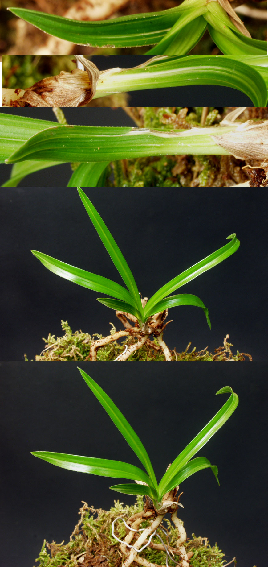 ������ ū������ �� �� �ֽ��ϴ�.