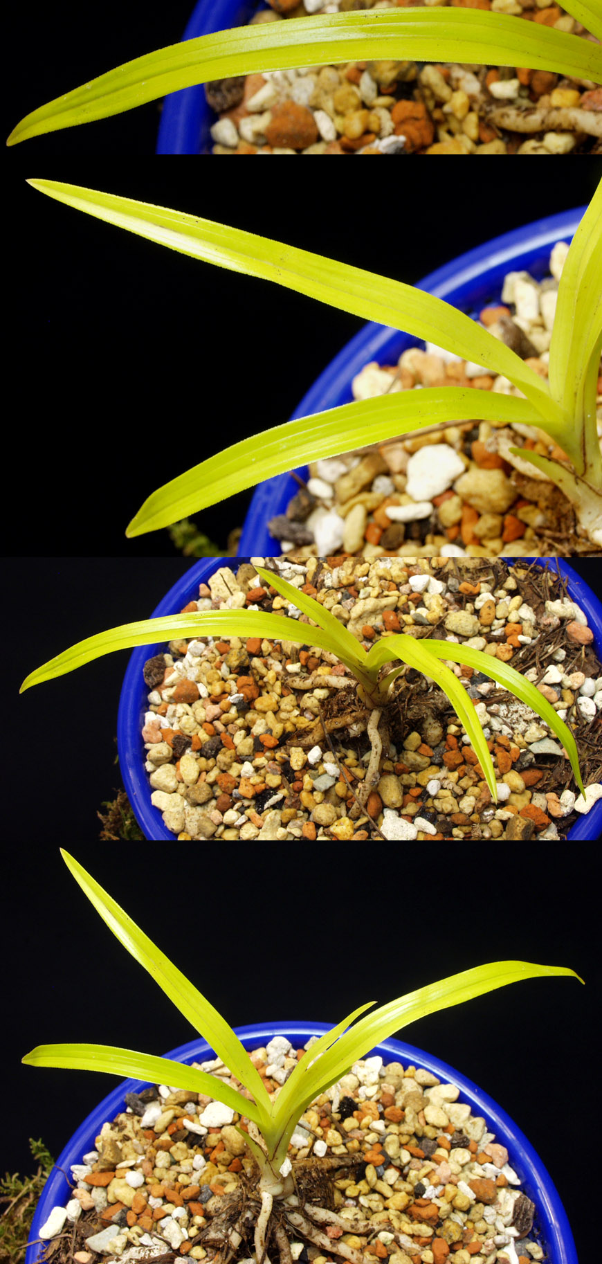 ������ ū������ �� �� �ֽ��ϴ�.