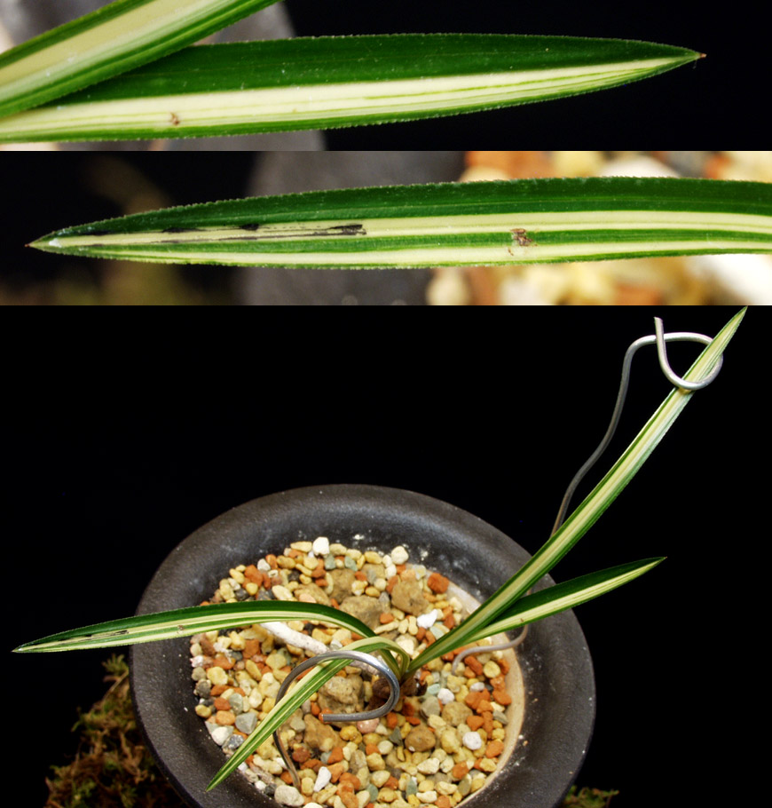 ������ ū������ �� �� �ֽ��ϴ�.