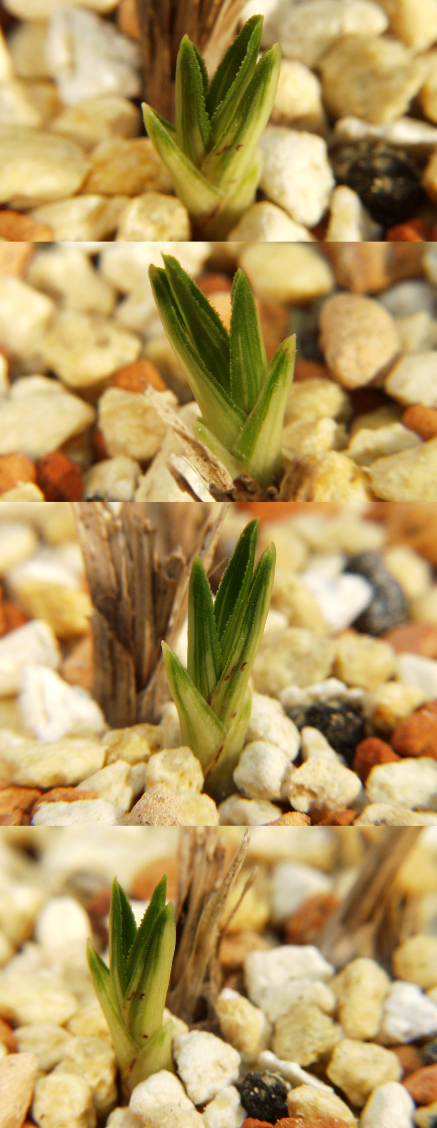 ������ ū������ �� �� �ֽ��ϴ�.