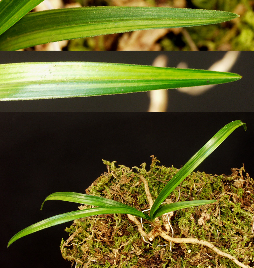 ������ ū������ �� �� �ֽ��ϴ�.