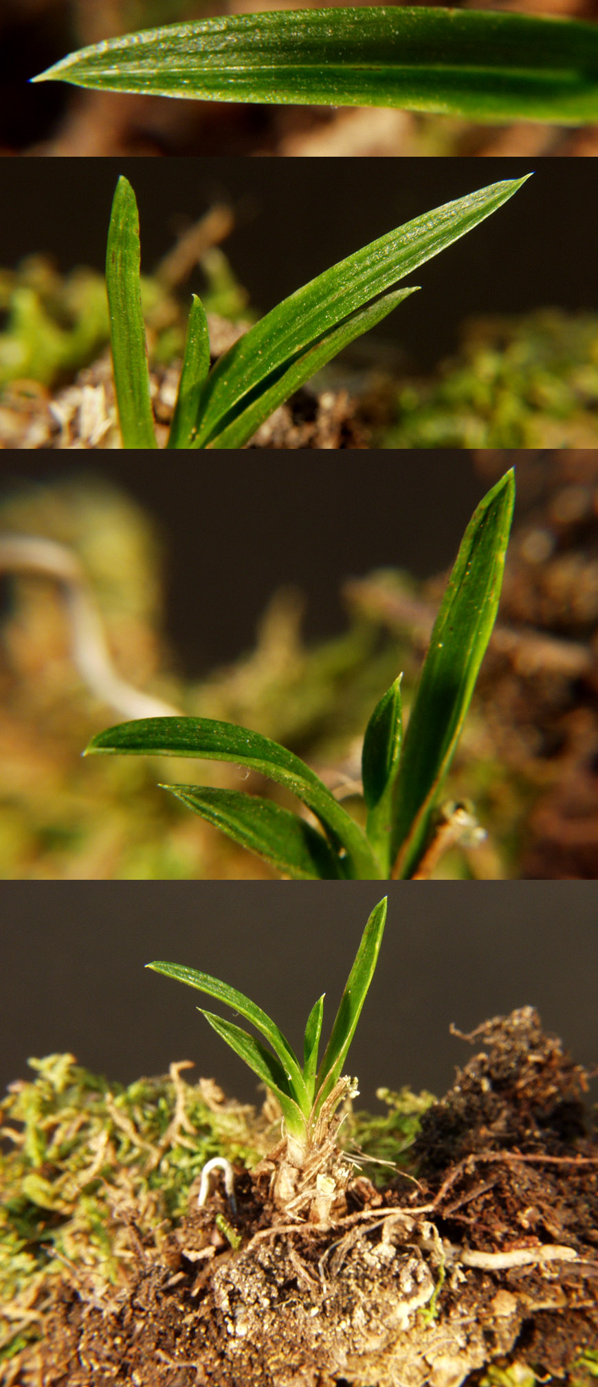 ������ ū������ �� �� �ֽ��ϴ�.