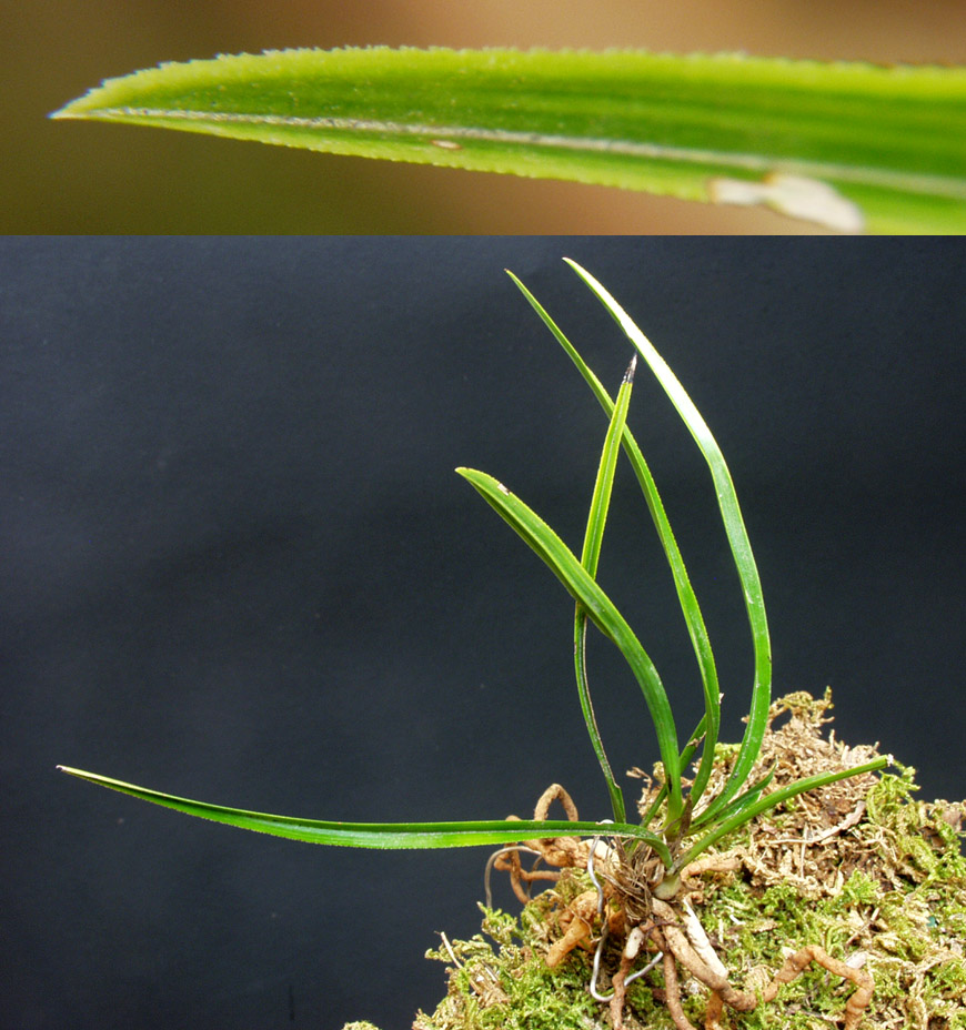 ������ ū������ �� �� �ֽ��ϴ�.