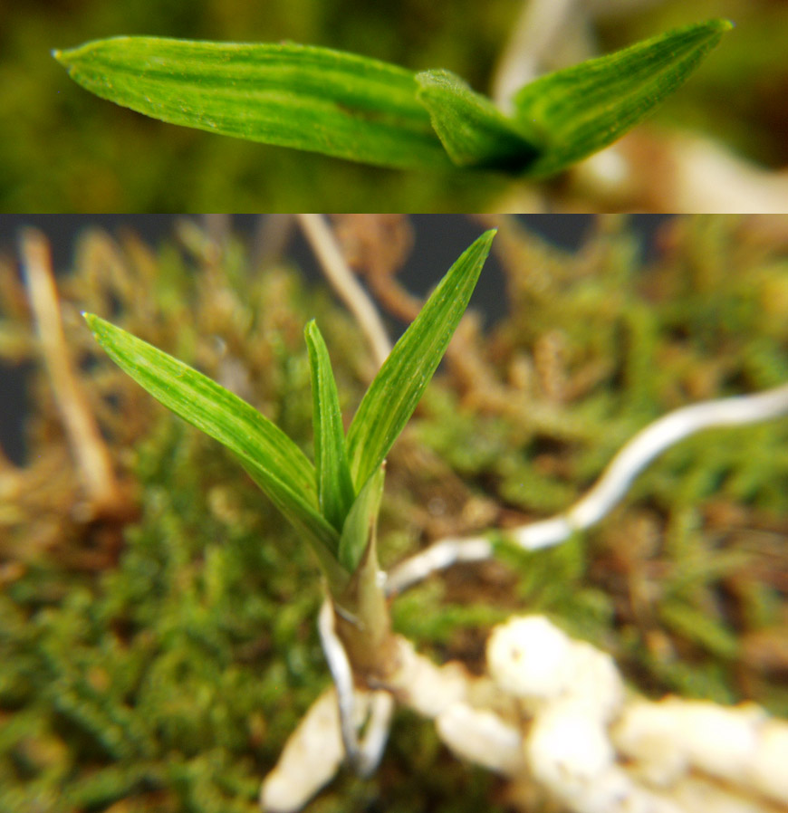 ������ ū������ �� �� �ֽ��ϴ�.