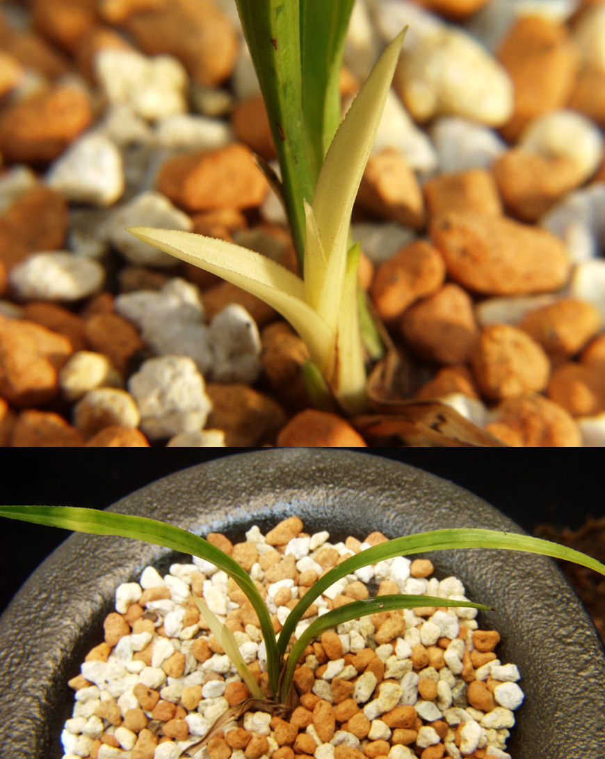 ������ ū������ �� �� �ֽ��ϴ�.