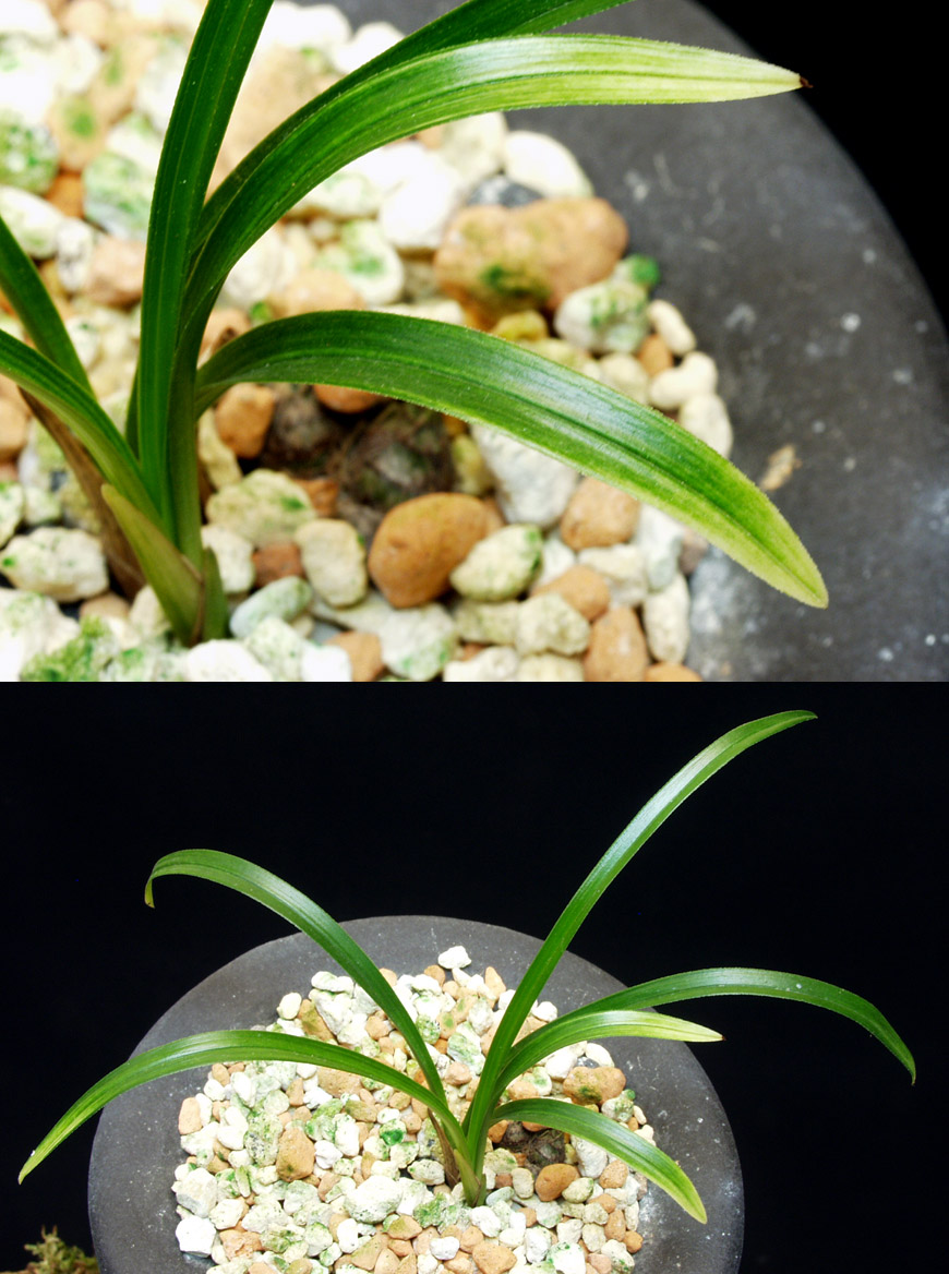 ������ ū������ �� �� �ֽ��ϴ�.