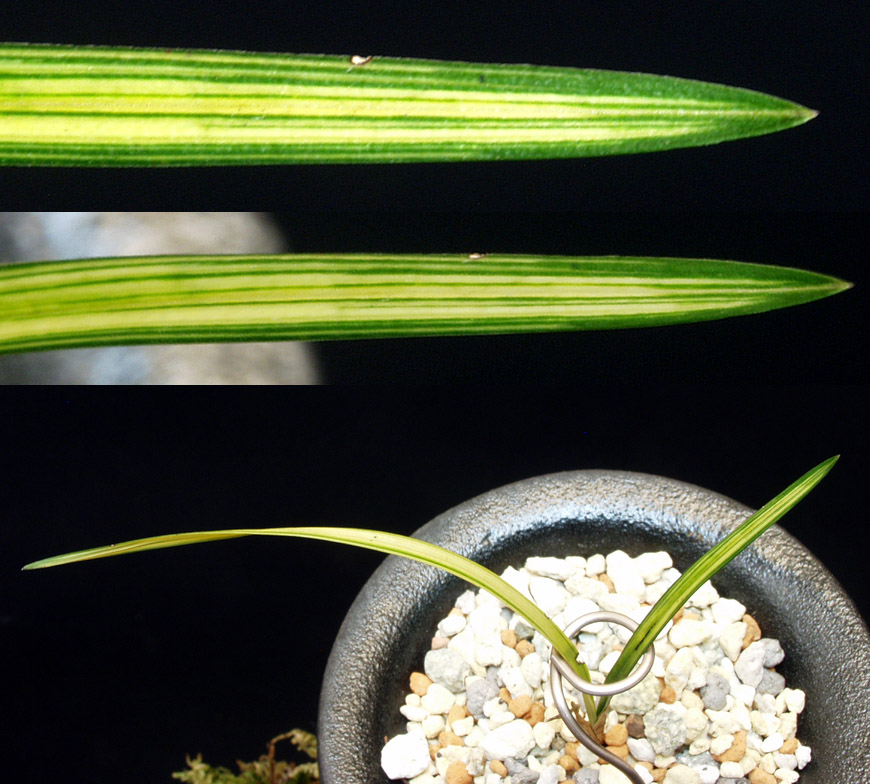 ������ ū������ �� �� �ֽ��ϴ�.