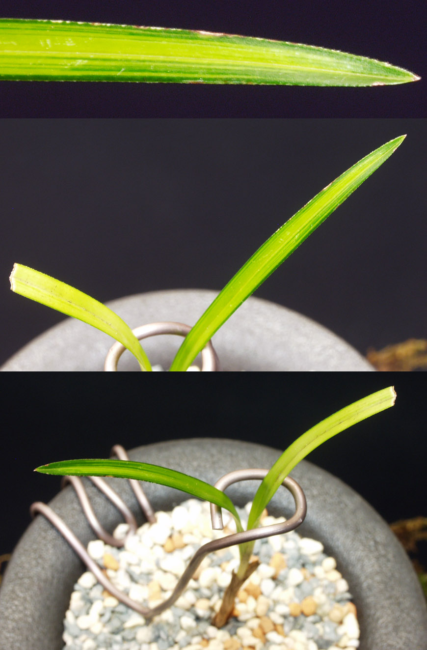 ������ ū������ �� �� �ֽ��ϴ�.