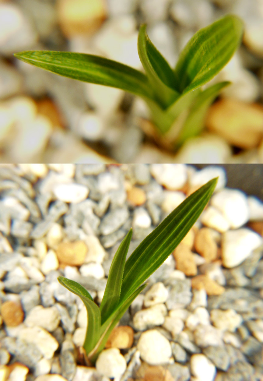 ������ ū������ �� �� �ֽ��ϴ�.