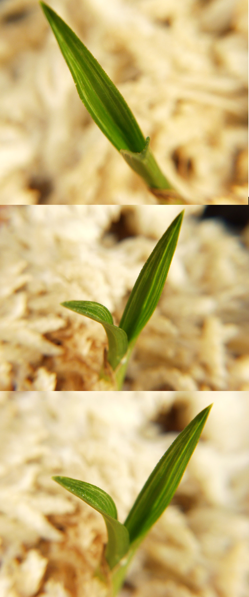 ������ ū������ �� �� �ֽ��ϴ�.