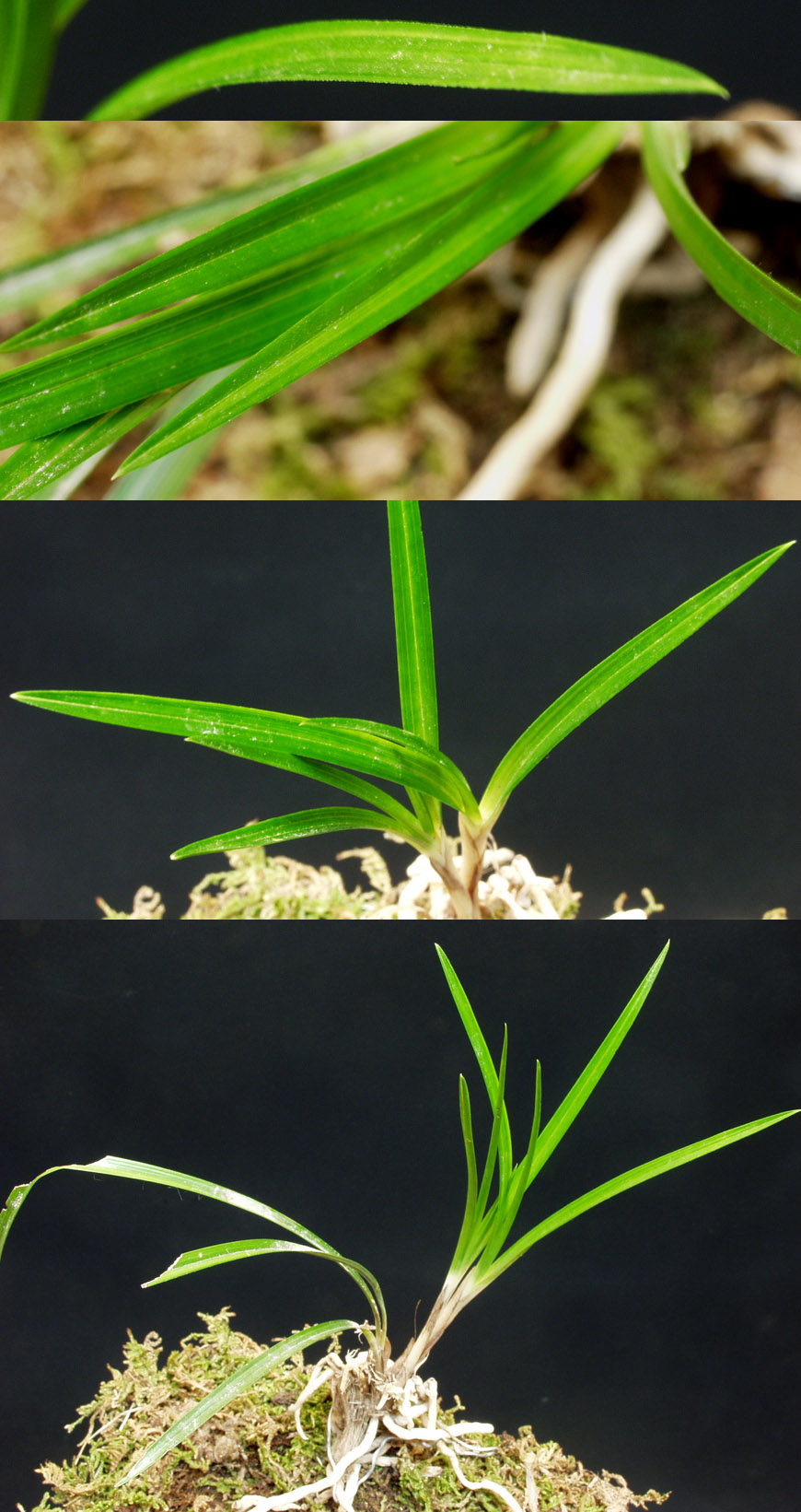 ������ ū������ �� �� �ֽ��ϴ�.