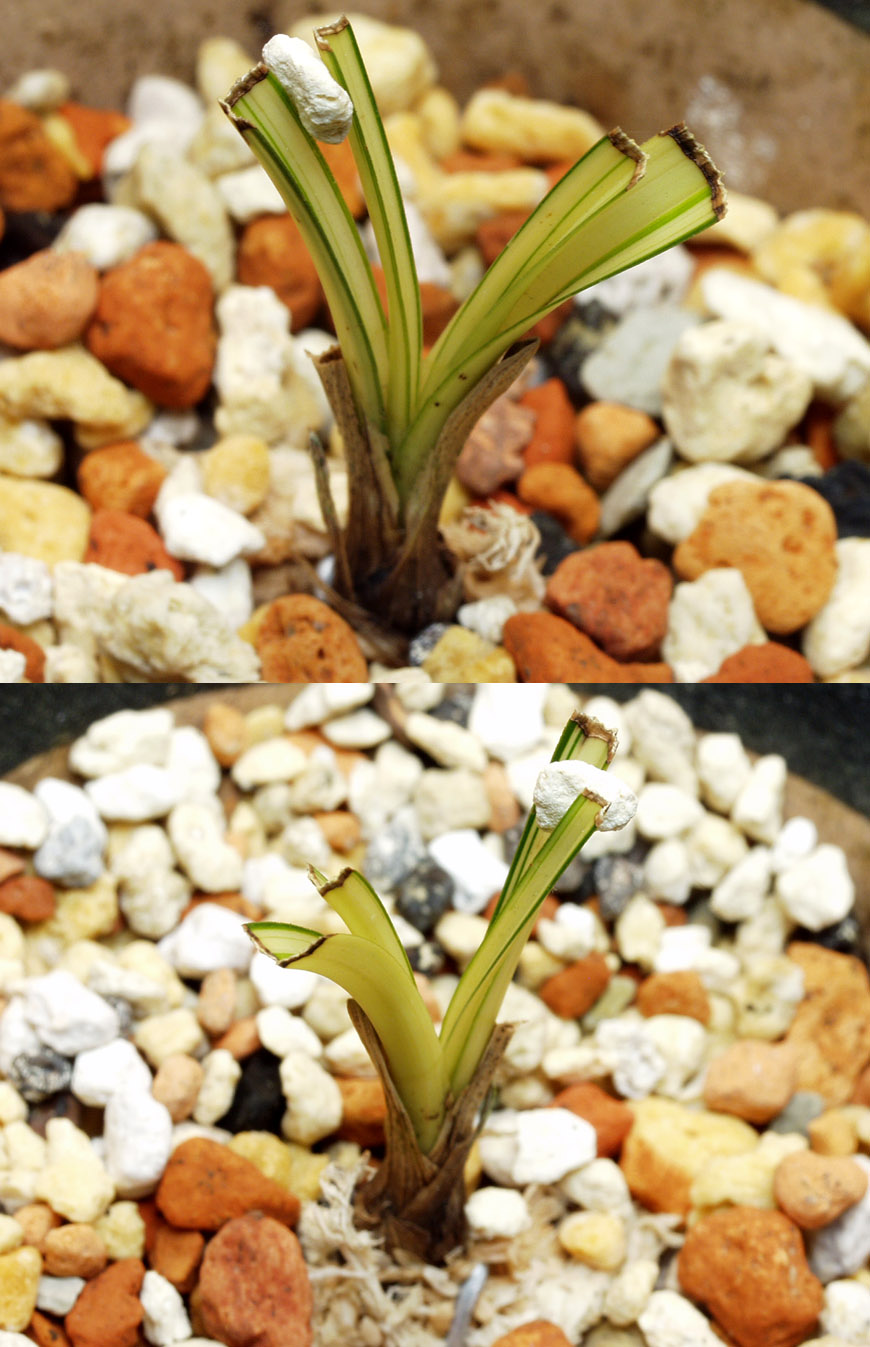 ������ ū������ �� �� �ֽ��ϴ�.