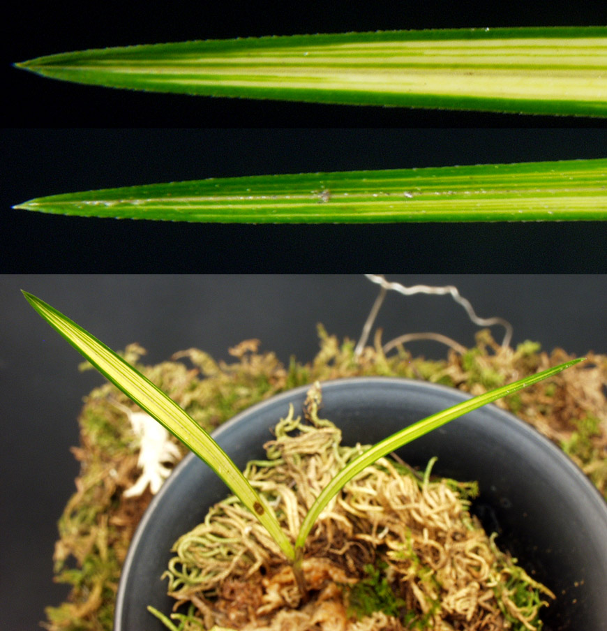 ������ ū������ �� �� �ֽ��ϴ�.