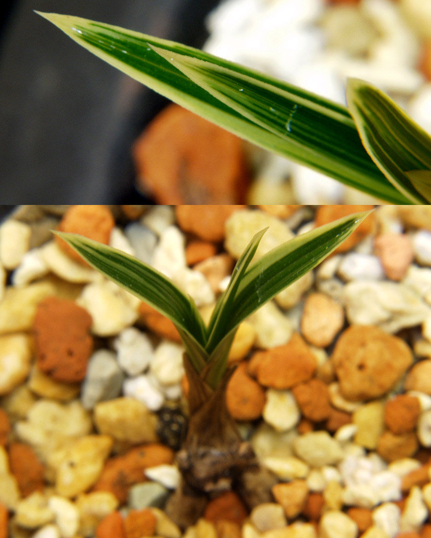 ������ ū������ �� �� �ֽ��ϴ�.