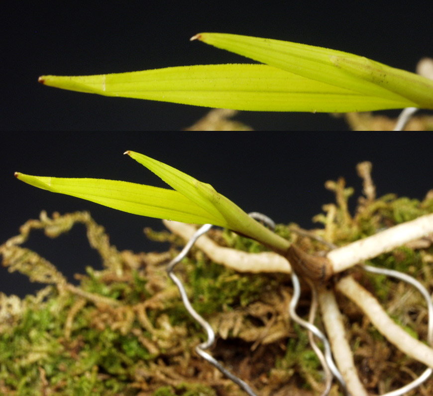 ������ ū������ �� �� �ֽ��ϴ�.