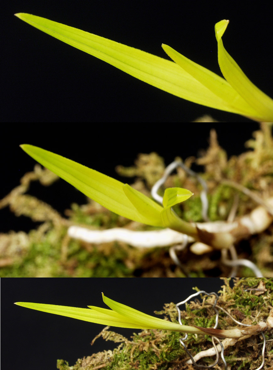 ������ ū������ �� �� �ֽ��ϴ�.