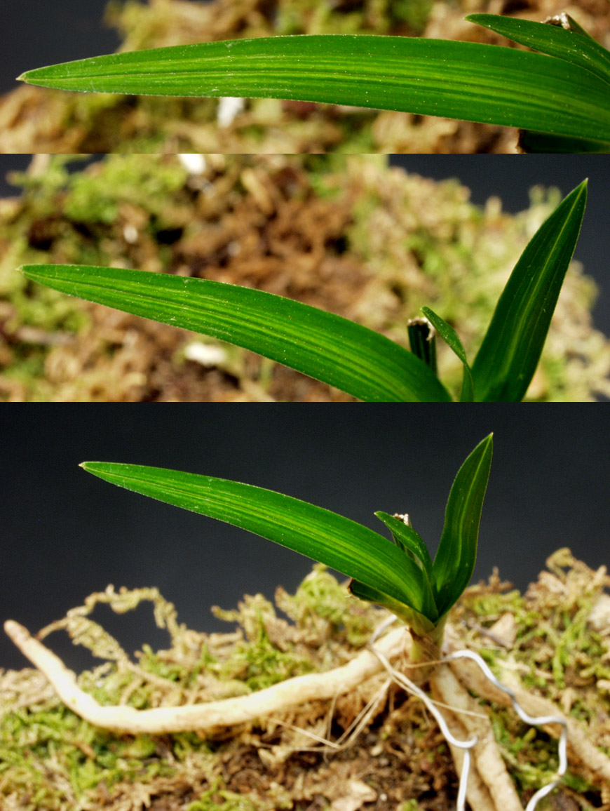 ������ ū������ �� �� �ֽ��ϴ�.