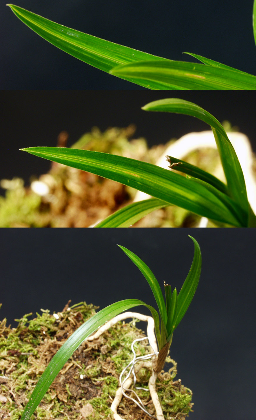 ������ ū������ �� �� �ֽ��ϴ�.