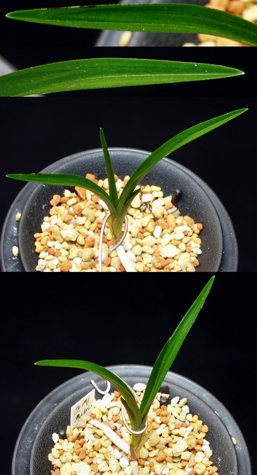 ������ ū������ �� �� �ֽ��ϴ�.