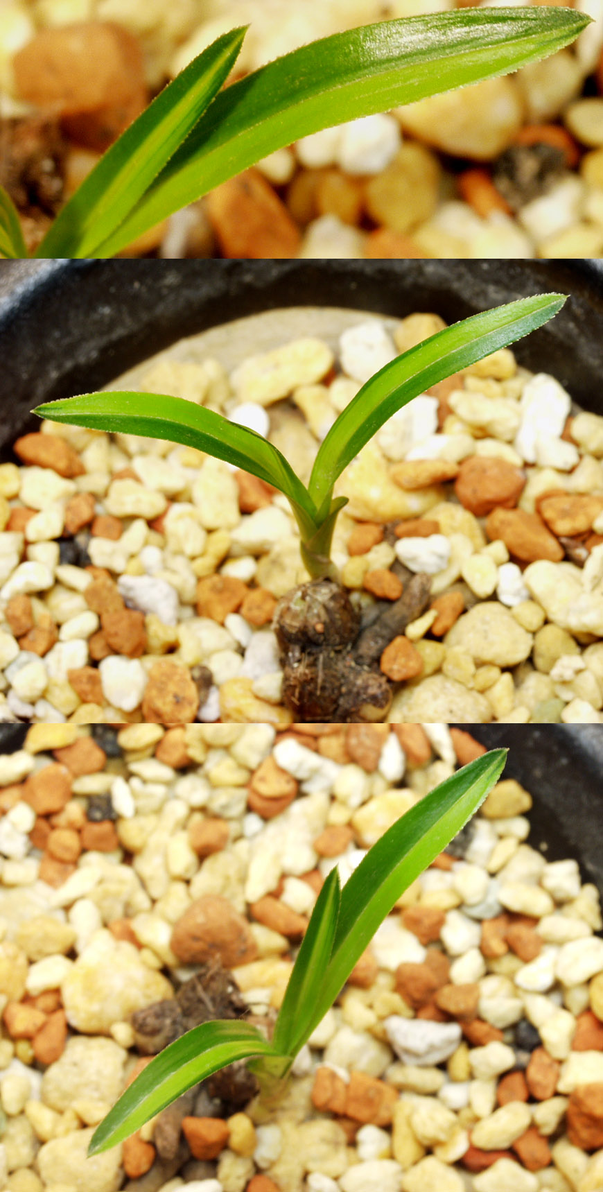 ������ ū������ �� �� �ֽ��ϴ�.