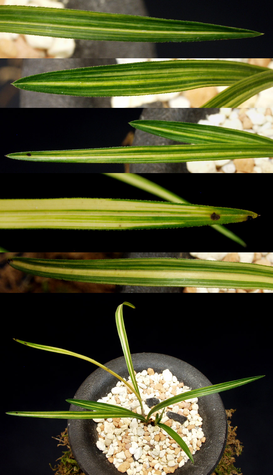 ������ ū������ �� �� �ֽ��ϴ�.