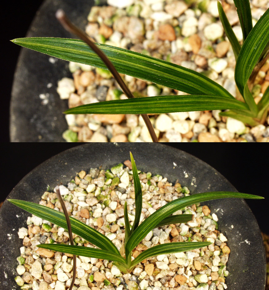 ������ ū������ �� �� �ֽ��ϴ�.