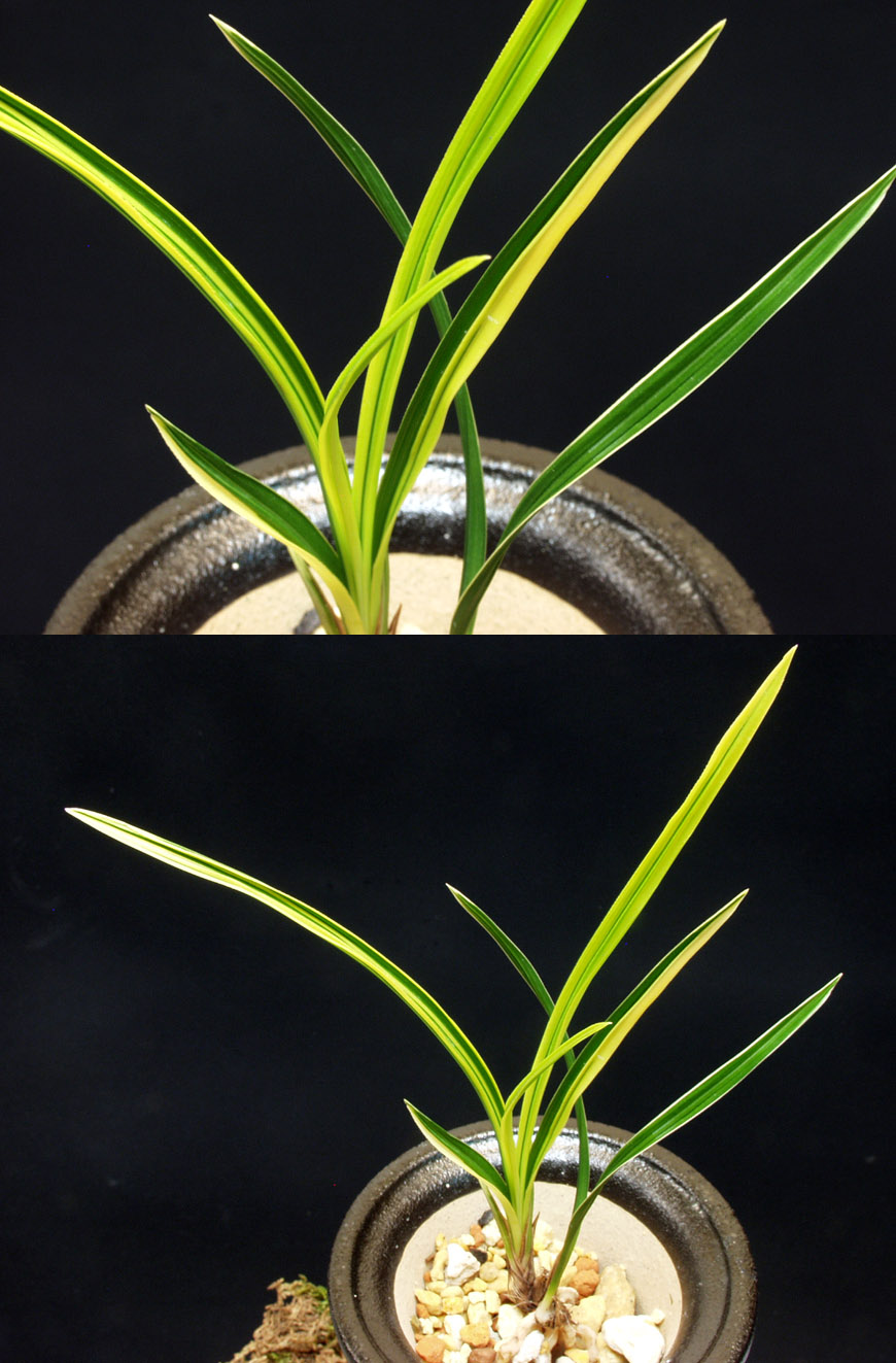 ������ ū������ �� �� �ֽ��ϴ�.