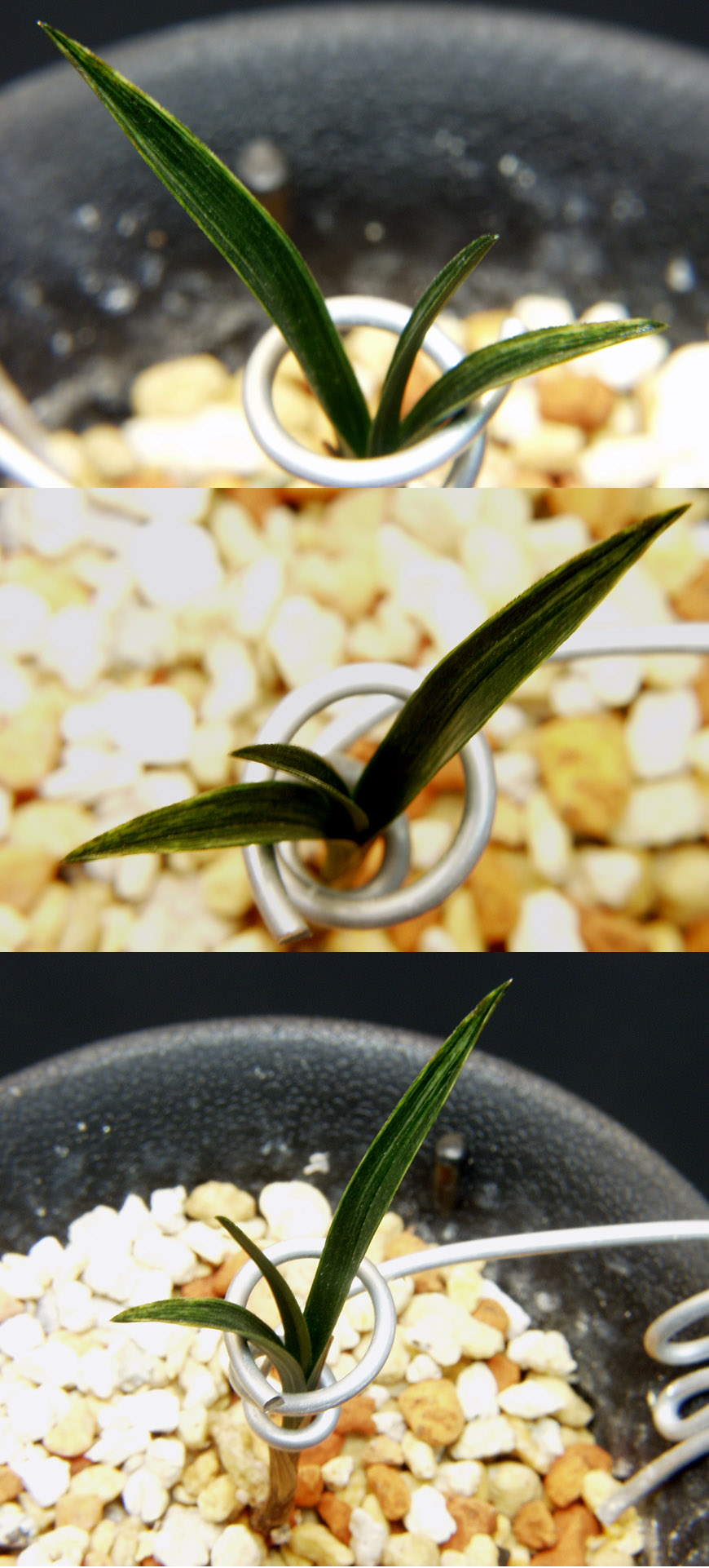 ������ ū������ �� �� �ֽ��ϴ�.