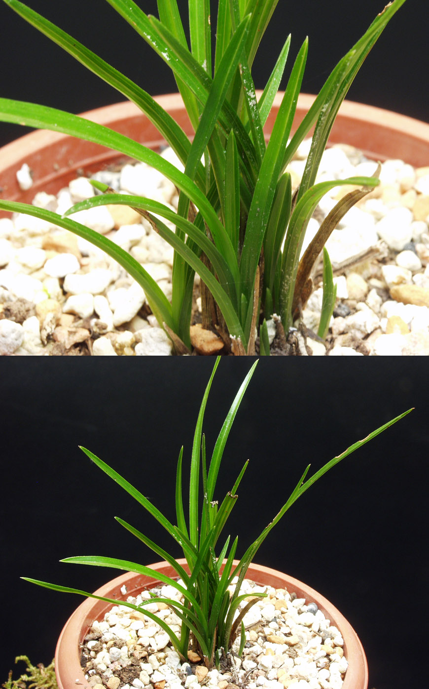 ������ ū������ �� �� �ֽ��ϴ�.