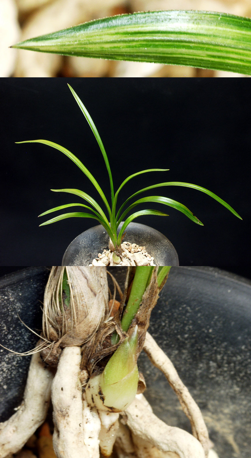 ������ ū������ �� �� �ֽ��ϴ�.