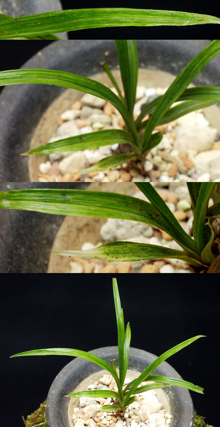 ������ ū������ �� �� �ֽ��ϴ�.