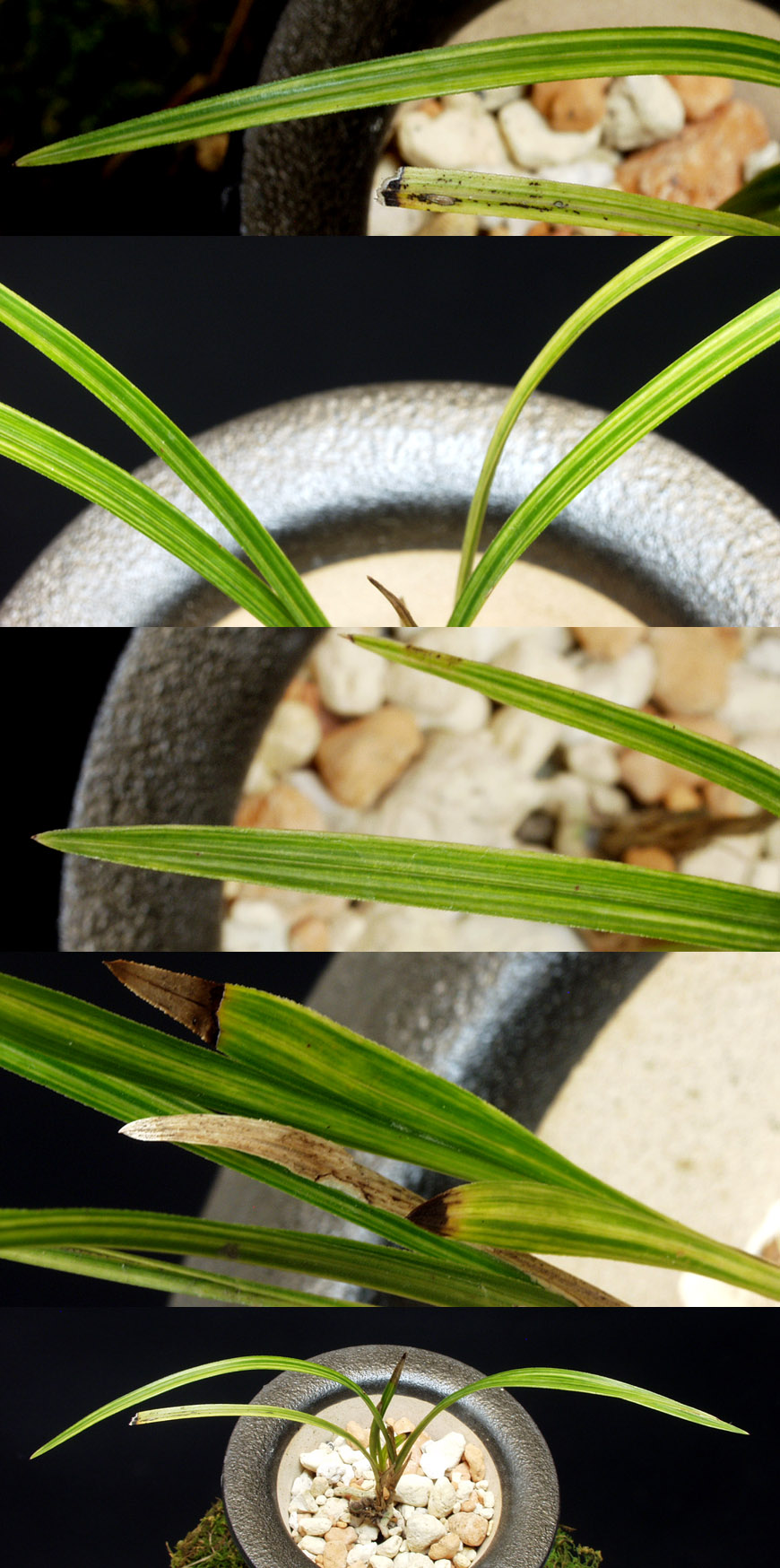 ������ ū������ �� �� �ֽ��ϴ�.