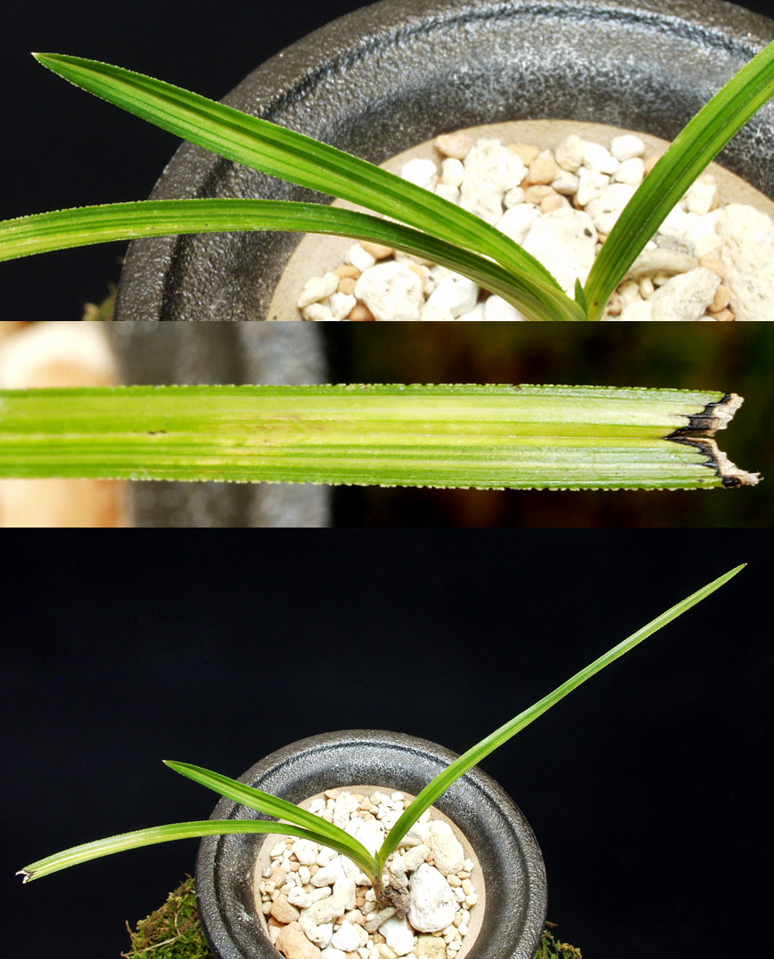 ������ ū������ �� �� �ֽ��ϴ�.