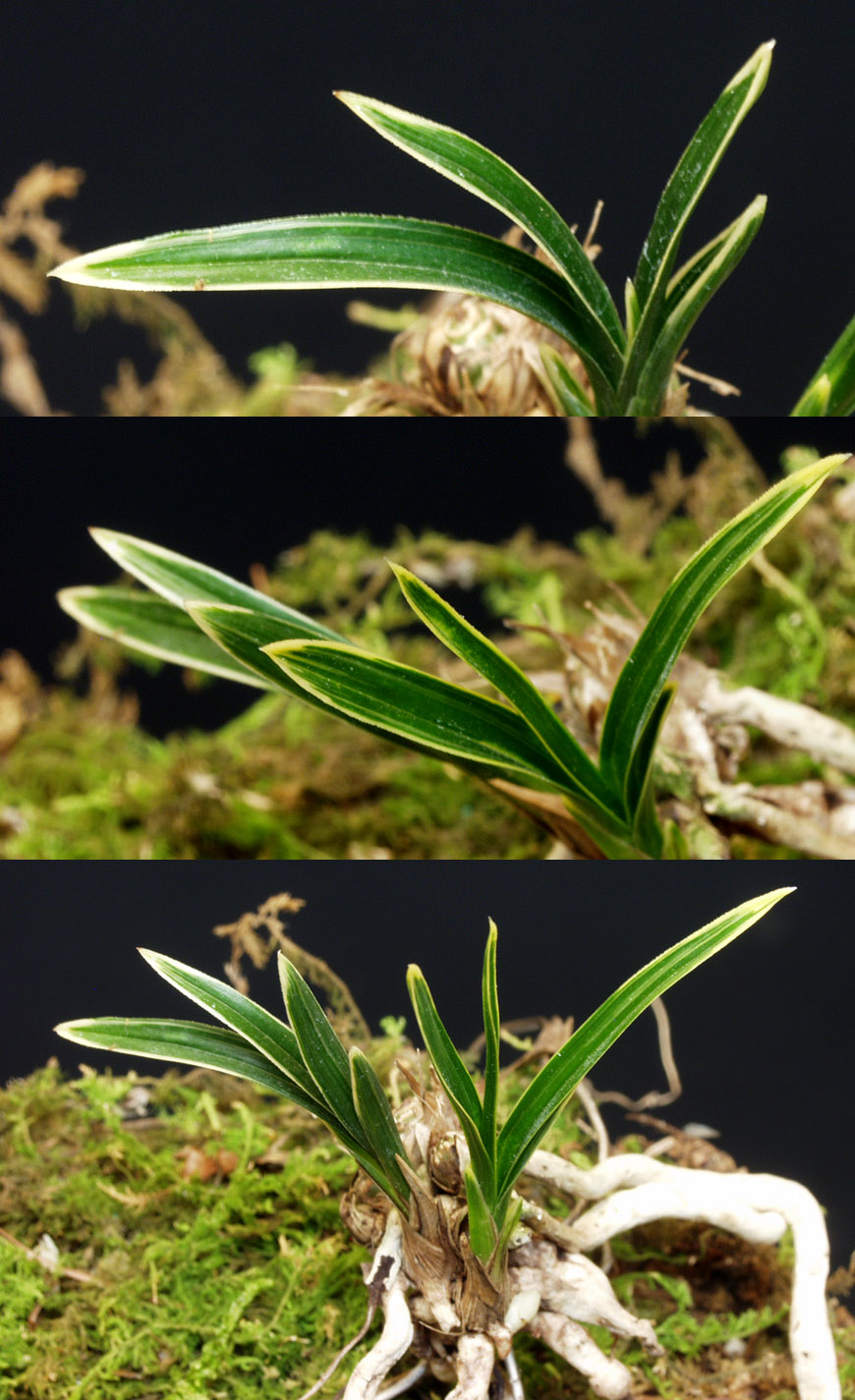 ������ ū������ �� �� �ֽ��ϴ�.