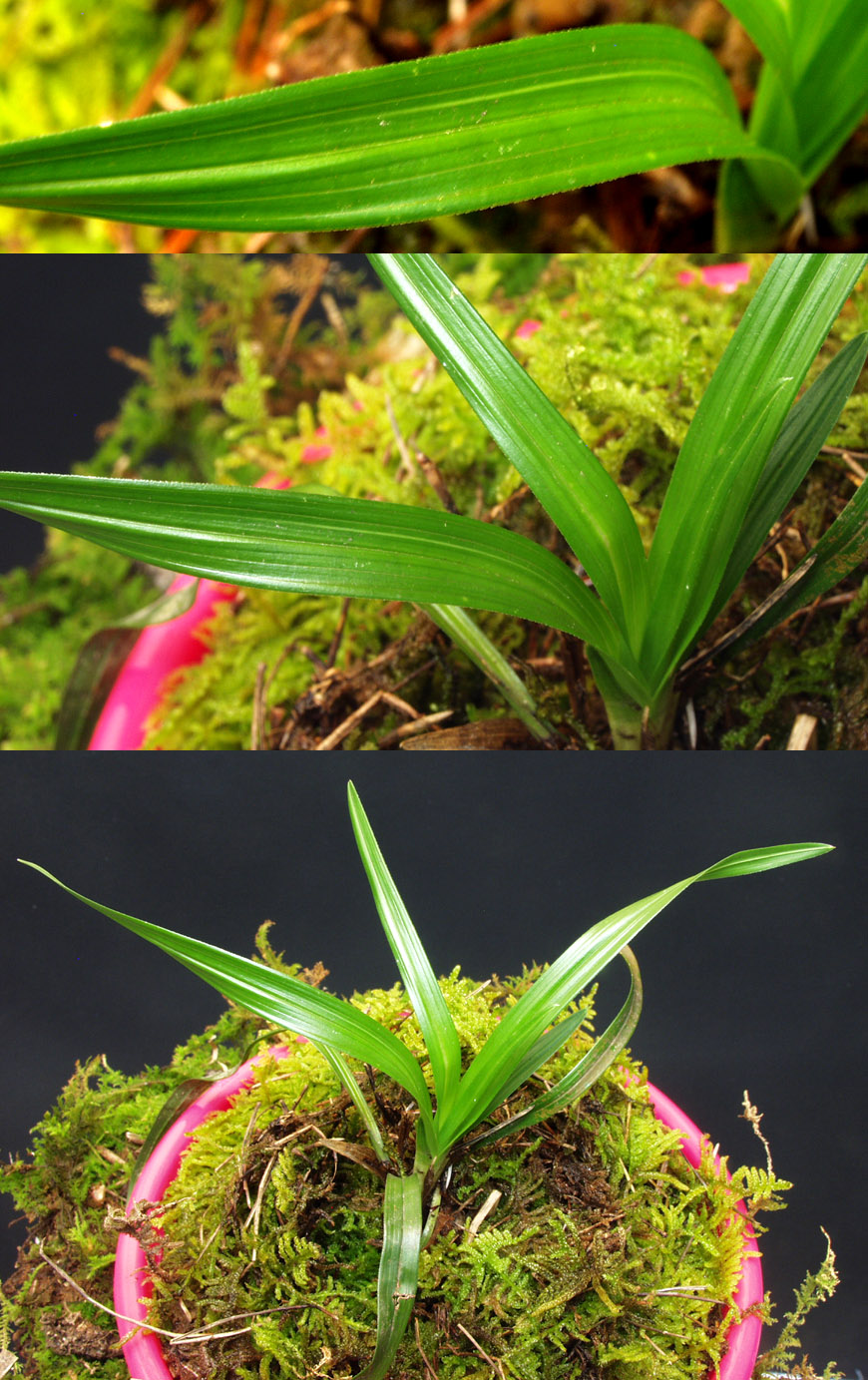 ������ ū������ �� �� �ֽ��ϴ�.