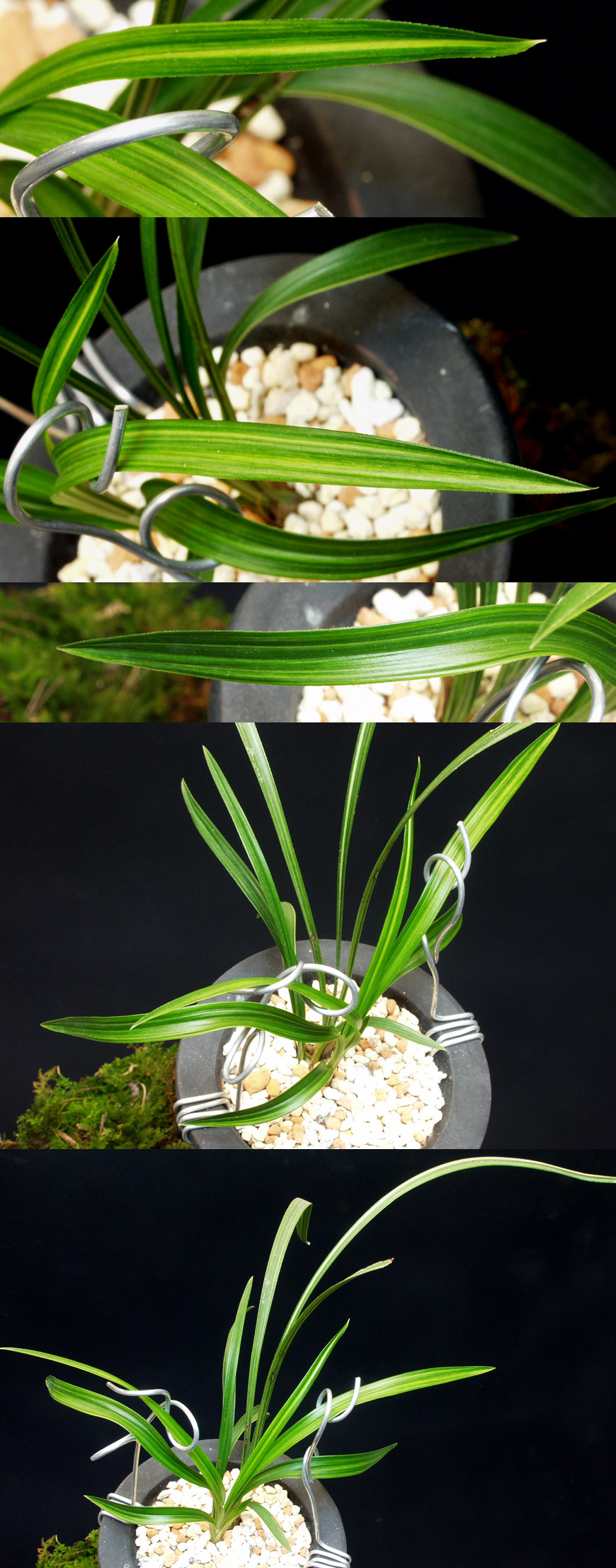 ������ ū������ �� �� �ֽ��ϴ�.