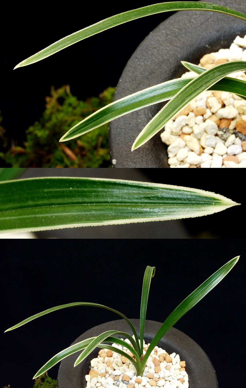 ������ ū������ �� �� �ֽ��ϴ�.