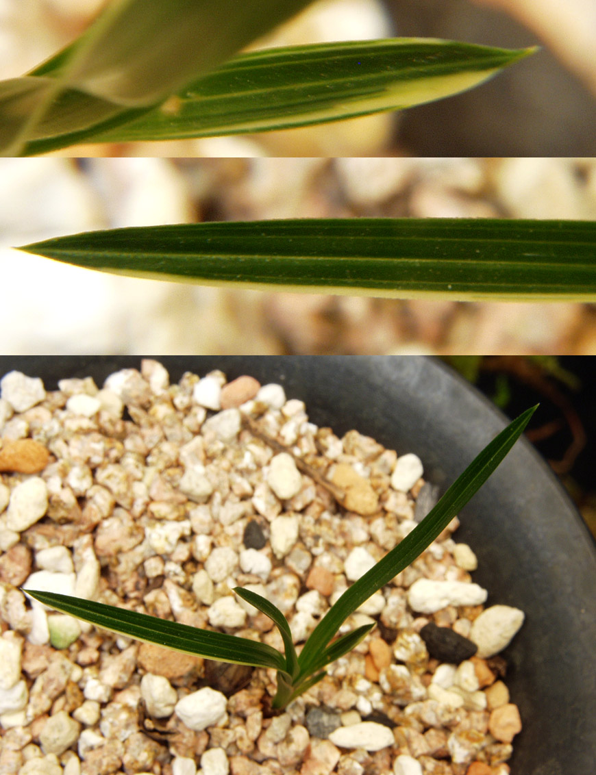 ������ ū������ �� �� �ֽ��ϴ�.