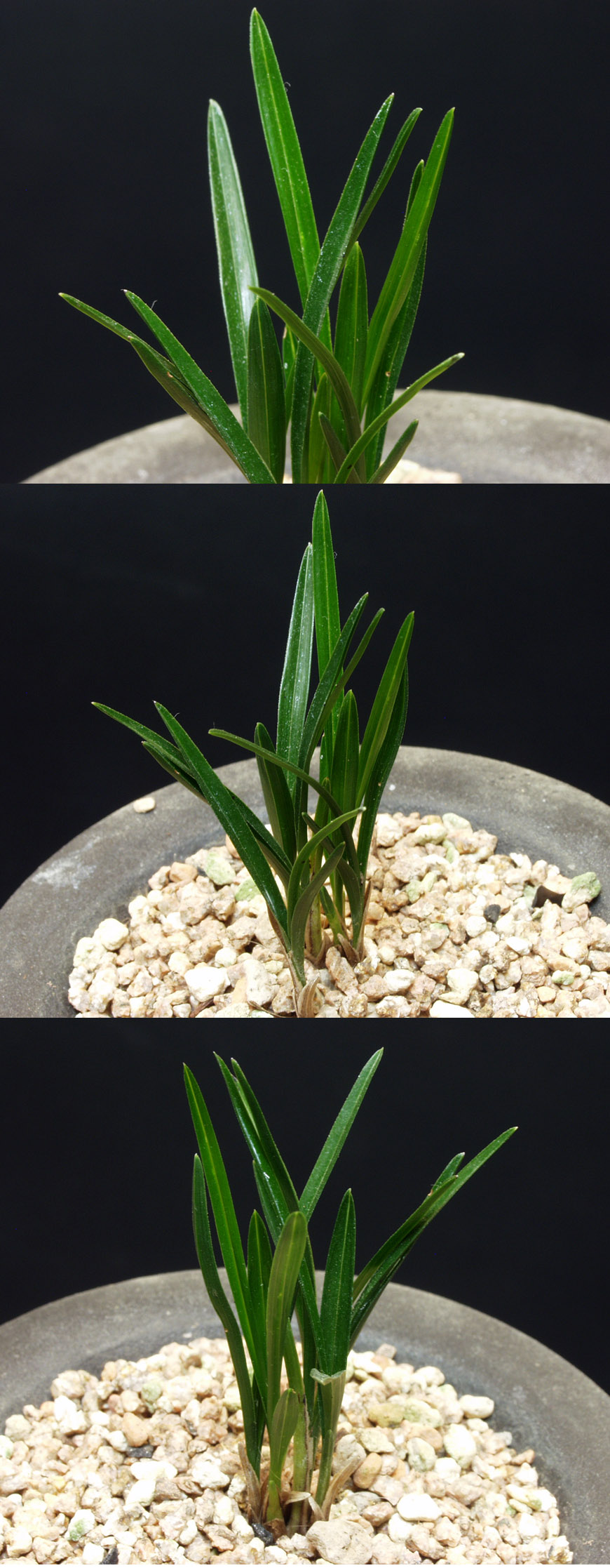 ������ ū������ �� �� �ֽ��ϴ�.